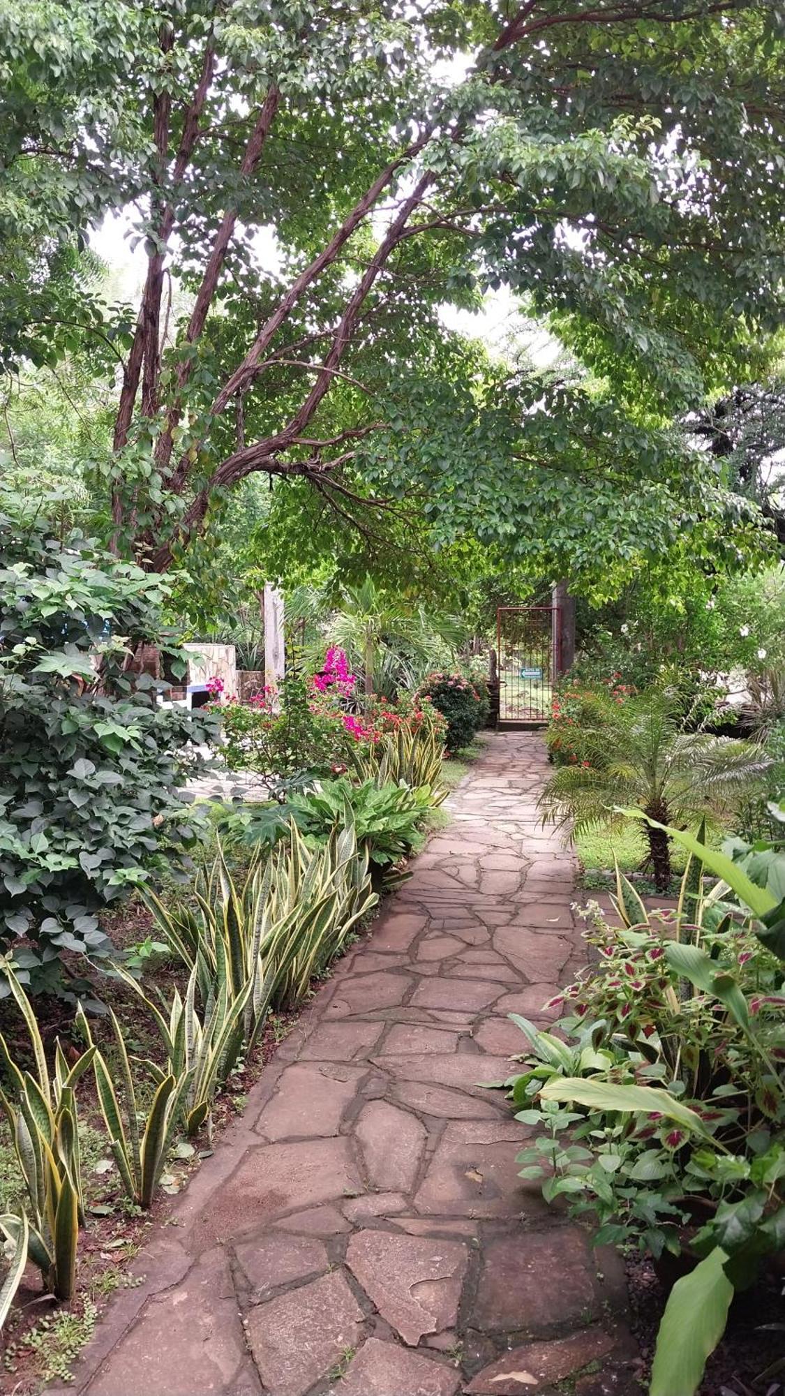 Bed and Breakfast Casa Todo Bueno Transito Exterior foto