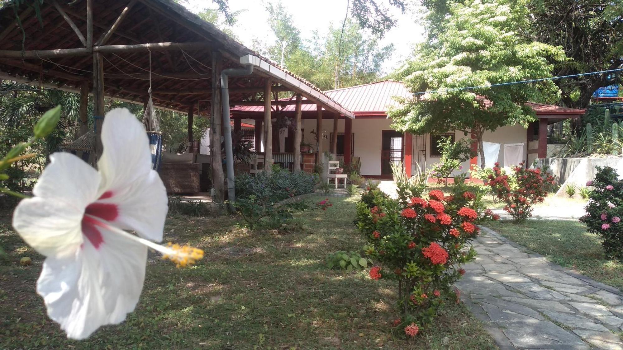 Bed and Breakfast Casa Todo Bueno Transito Exterior foto